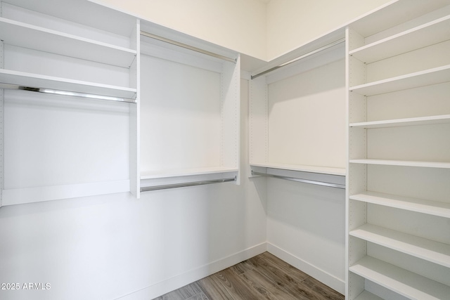 spacious closet featuring wood-type flooring