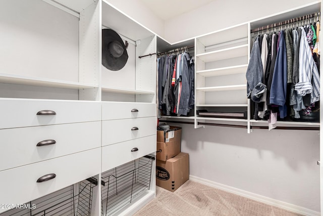 walk in closet with light colored carpet