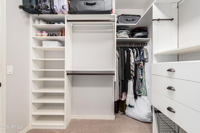 walk in closet featuring light colored carpet