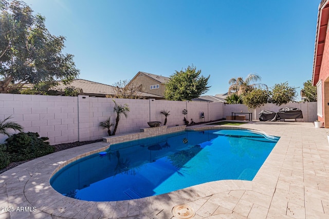 view of pool featuring a patio