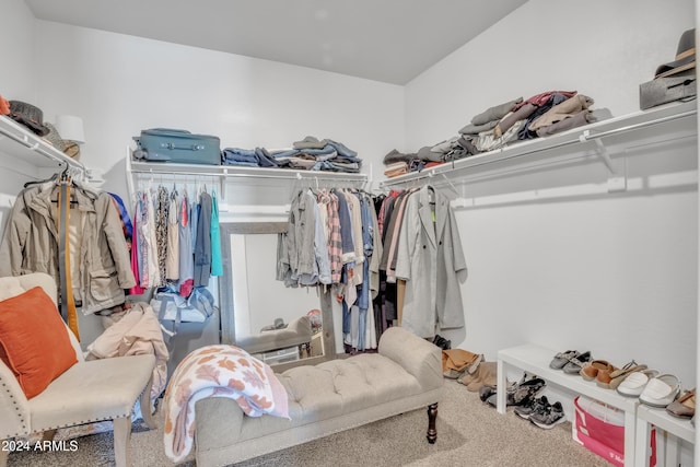 spacious closet with carpet