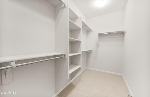 26995 W Adam Ave, Buckeye, AZ 85396 - walk in closet featuring carpet floors