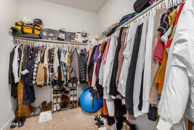 spacious closet featuring carpet