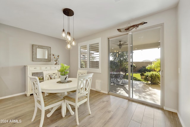 dining room with light hardwood / wood-style floors, plenty of natural light, and ceiling fan