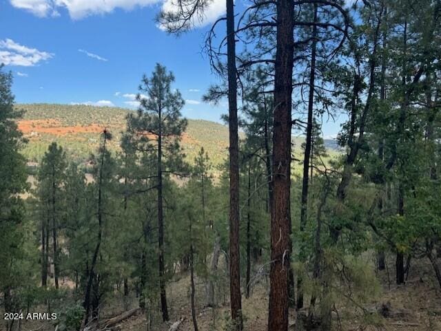 XXX Juniper Rd Unit Xx, Strawberry AZ, 85544 land for sale