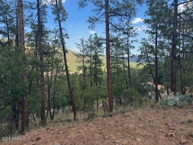 Listing photo 3 for XXX Juniper Rd Unit Xx, Strawberry AZ 85544