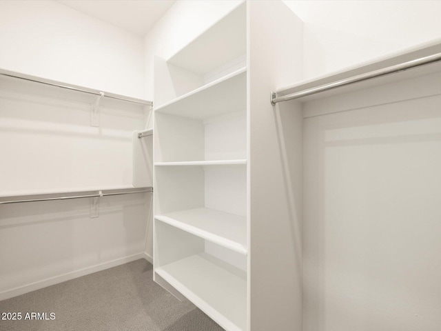 walk in closet with carpet flooring