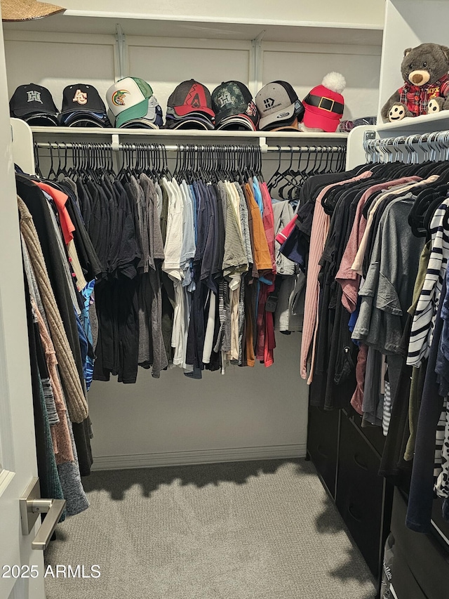 spacious closet featuring carpet flooring