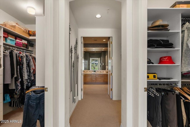 9432 N Longfeather, Fountain Hills, AZ 85268 - spacious closet with carpet