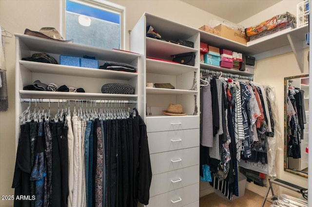 9432 N Longfeather, Fountain Hills, AZ 85268 - view of spacious closet