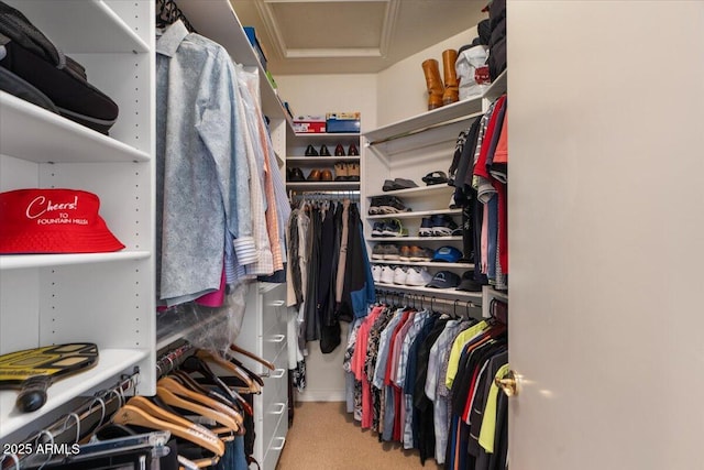 9432 N Longfeather, Fountain Hills, AZ 85268 - walk in closet featuring attic access and carpet