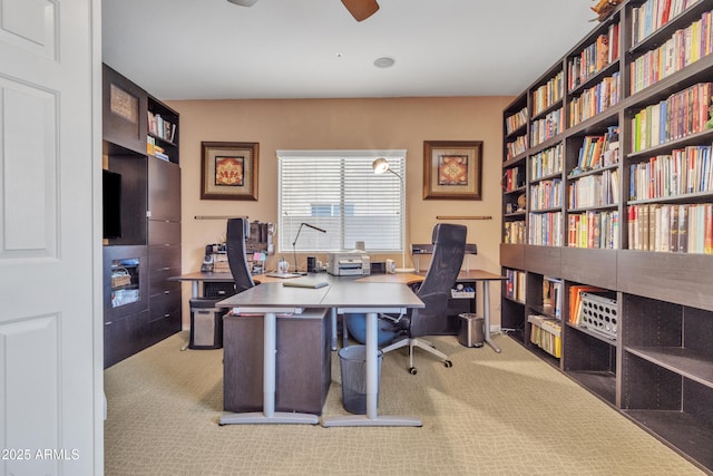 carpeted office with ceiling fan