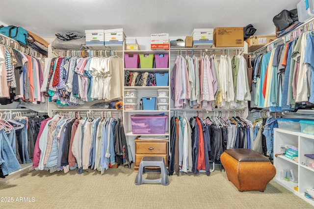 spacious closet featuring carpet floors