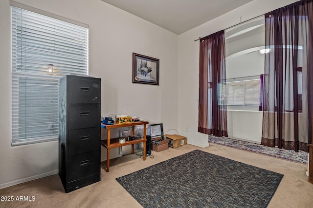 18057 W Port Royale Ln, Surprise, AZ 85388 - miscellaneous room featuring baseboards and carpet flooring