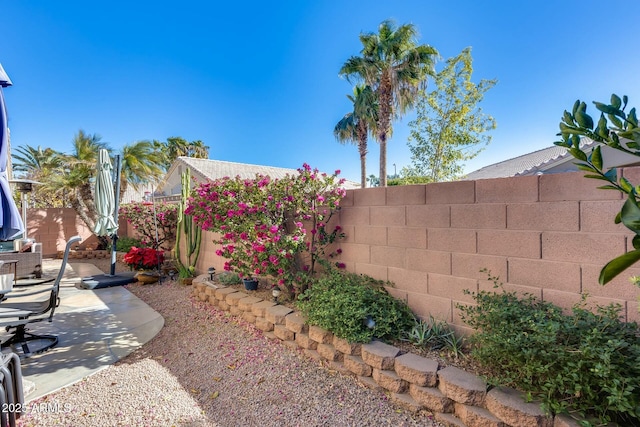 view of yard with a patio area