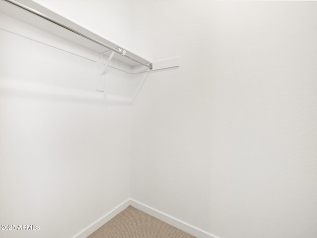 spacious closet with light carpet