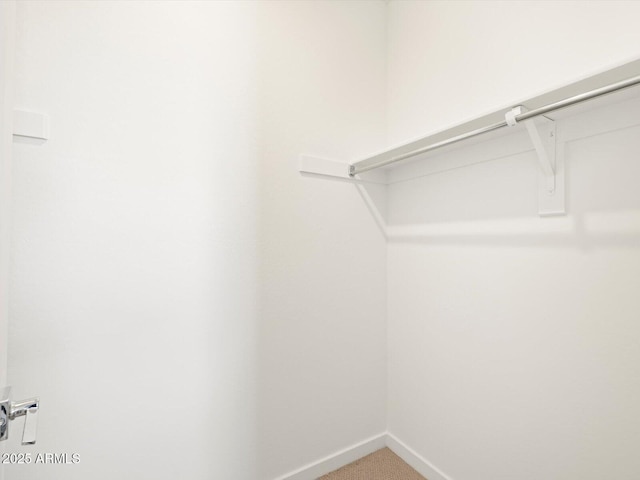 spacious closet with carpet flooring
