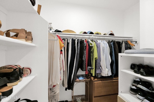 8651 E Royal Palm Rd Unit 121, Scottsdale, AZ 85258 - view of spacious closet