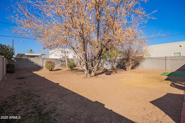 view of yard featuring a fenced backyard