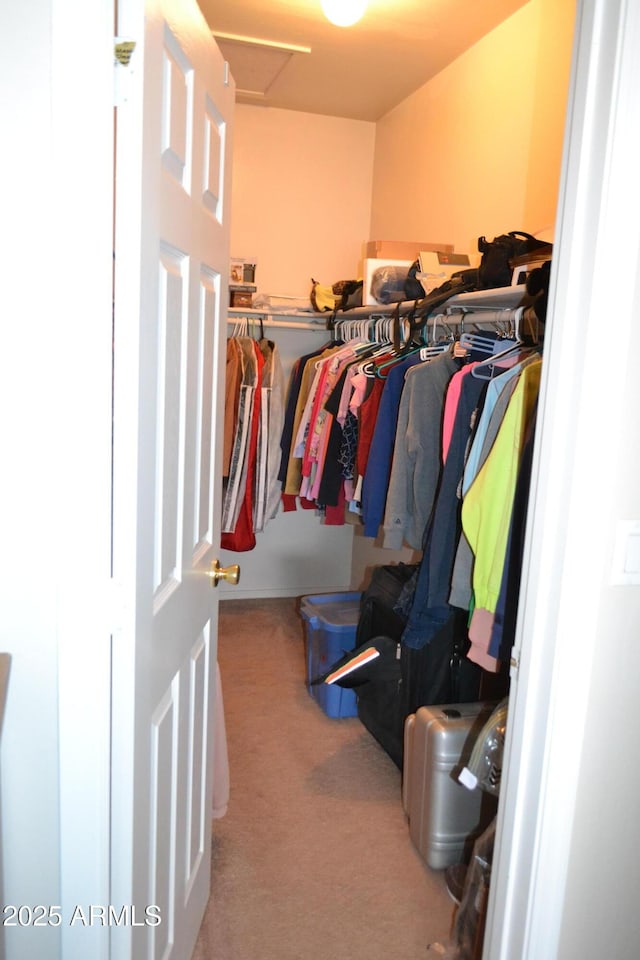 2740 E Walnut Dr, Show Low, AZ 85901 - walk in closet with carpet flooring and attic access