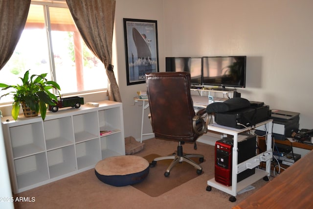 2740 E Walnut Dr, Show Low, AZ 85901 - home office with carpet flooring