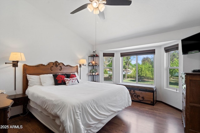 10532 W Catalina Dr, Avondale, AZ 85392 - bedroom with wood finished floors, lofted ceiling, ceiling fan, and baseboards