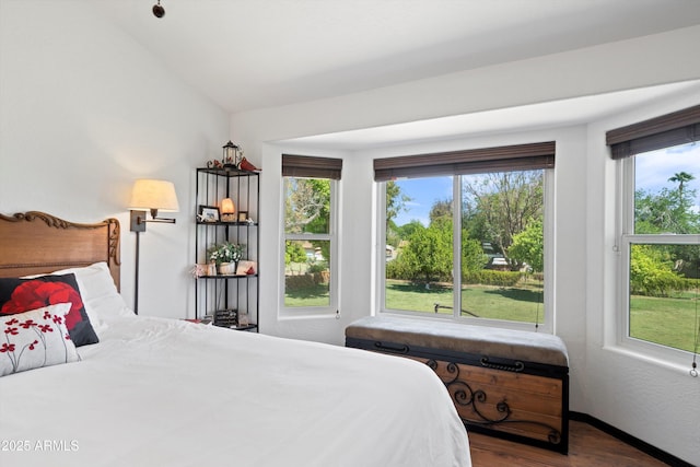 10532 W Catalina Dr, Avondale, AZ 85392 - bedroom featuring wood finished floors, vaulted ceiling, and baseboards