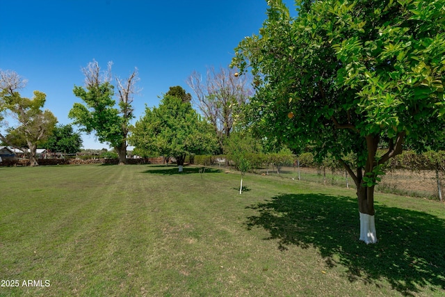 10532 W Catalina Dr, Avondale, AZ 85392 - view of grassy yard
