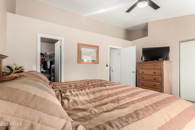 bedroom featuring a ceiling fan, a closet, and a spacious closet