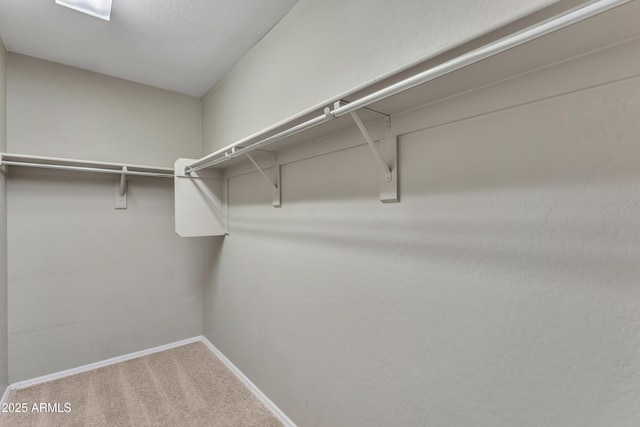 spacious closet with carpet