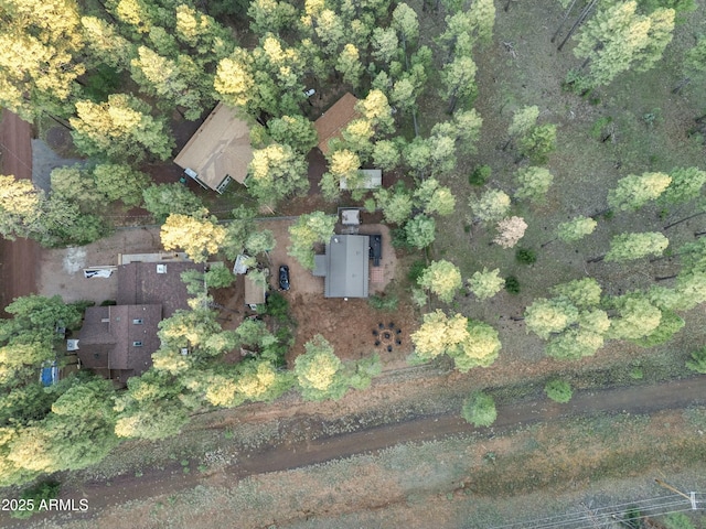bird's eye view
