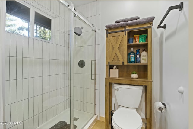 bathroom with toilet and a shower stall