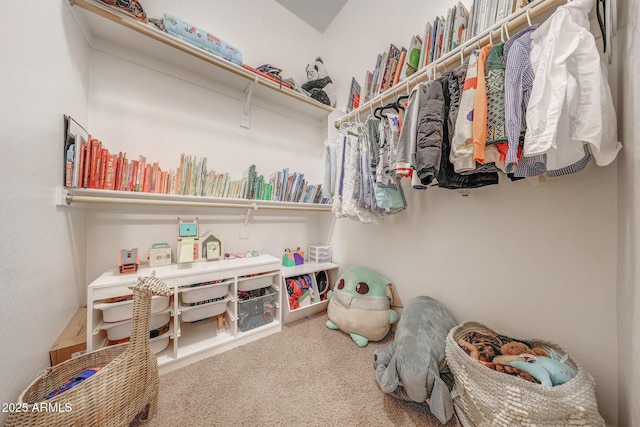 walk in closet with carpet
