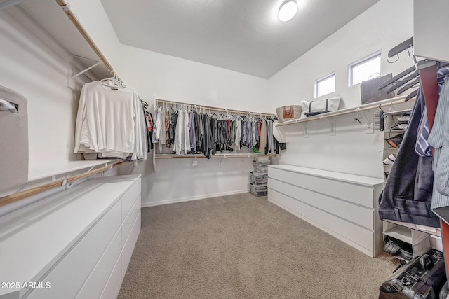 walk in closet featuring carpet flooring