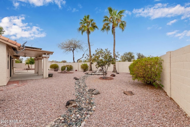 view of yard with a fenced backyard and a patio