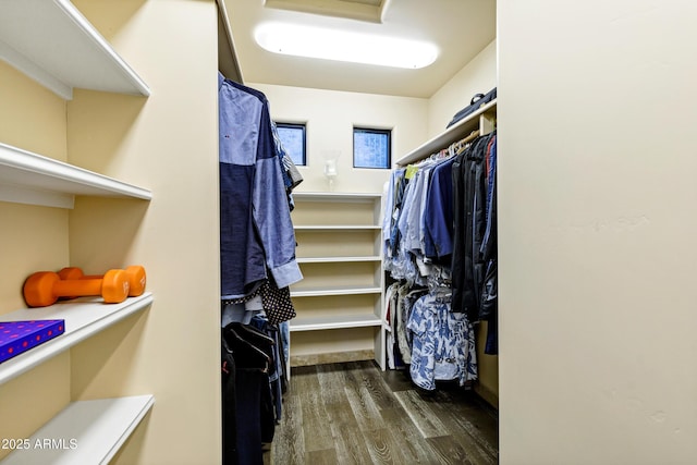 walk in closet featuring wood finished floors