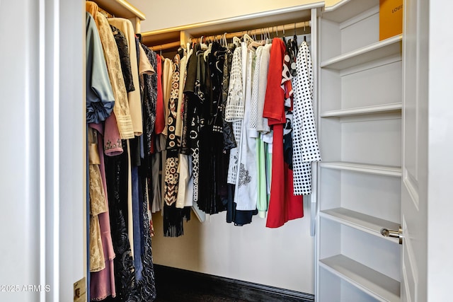 view of spacious closet