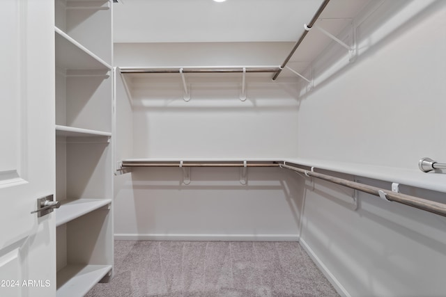 spacious closet with light colored carpet