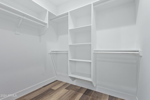 walk in closet with hardwood / wood-style flooring