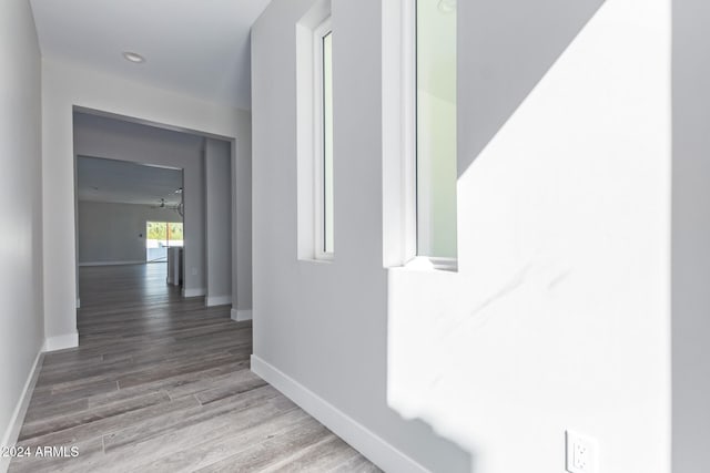 hallway with hardwood / wood-style flooring