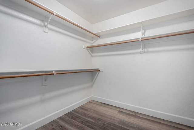 walk in closet with wood finished floors