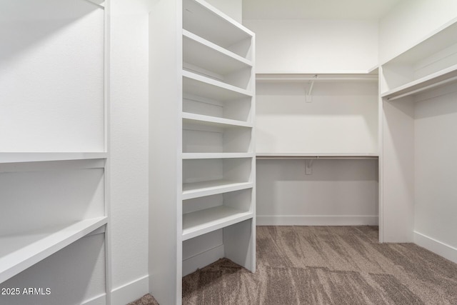 walk in closet featuring carpet floors