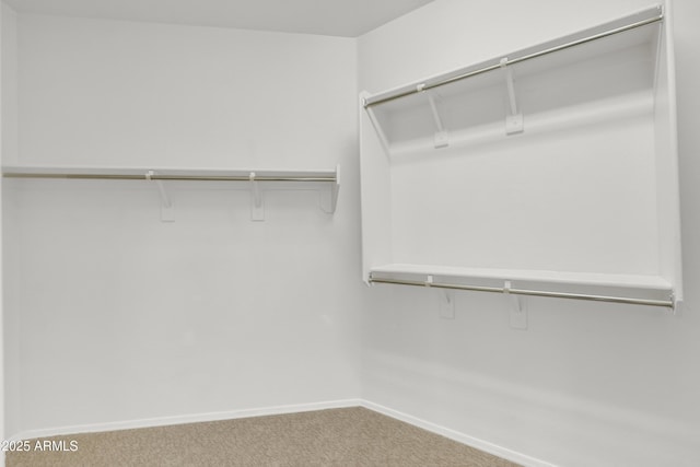 7580 W Darrel Rd, Laveen, AZ 85339 - spacious closet with carpet floors