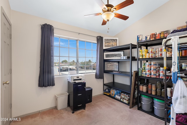 storage featuring ceiling fan