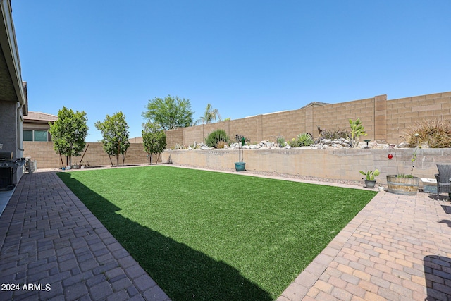 view of yard featuring a patio