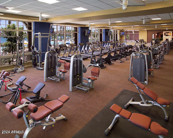 exercise room featuring a paneled ceiling and a healthy amount of sunlight