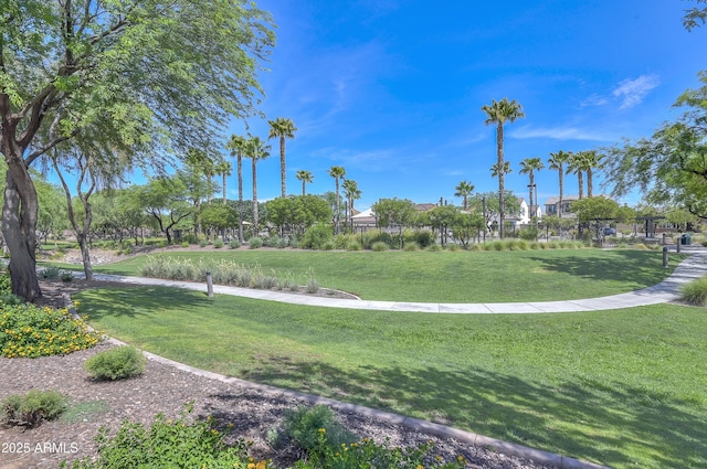 17132 W Oberlin Way, Surprise, AZ 85387 - view of property's community with a lawn