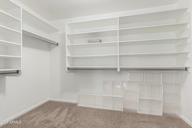 spacious closet with carpet flooring