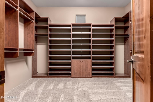 10657 E Cloudview Ave, Gold Canyon, AZ 85118 - walk in closet featuring carpet floors
