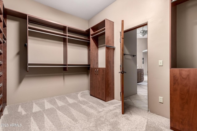 10657 E Cloudview Ave, Gold Canyon, AZ 85118 - walk in closet with carpet